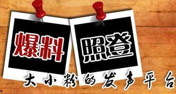 最新资讯和爆料新闻,神秘项目曝光，未来科技革命即将来临