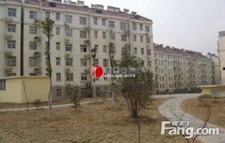 浦口盘龙城爆料最新消息,揭秘盘龙城发展新篇章