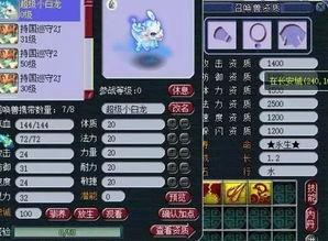 小白龙最新爆料,娱乐圈幕后真相大曝光！